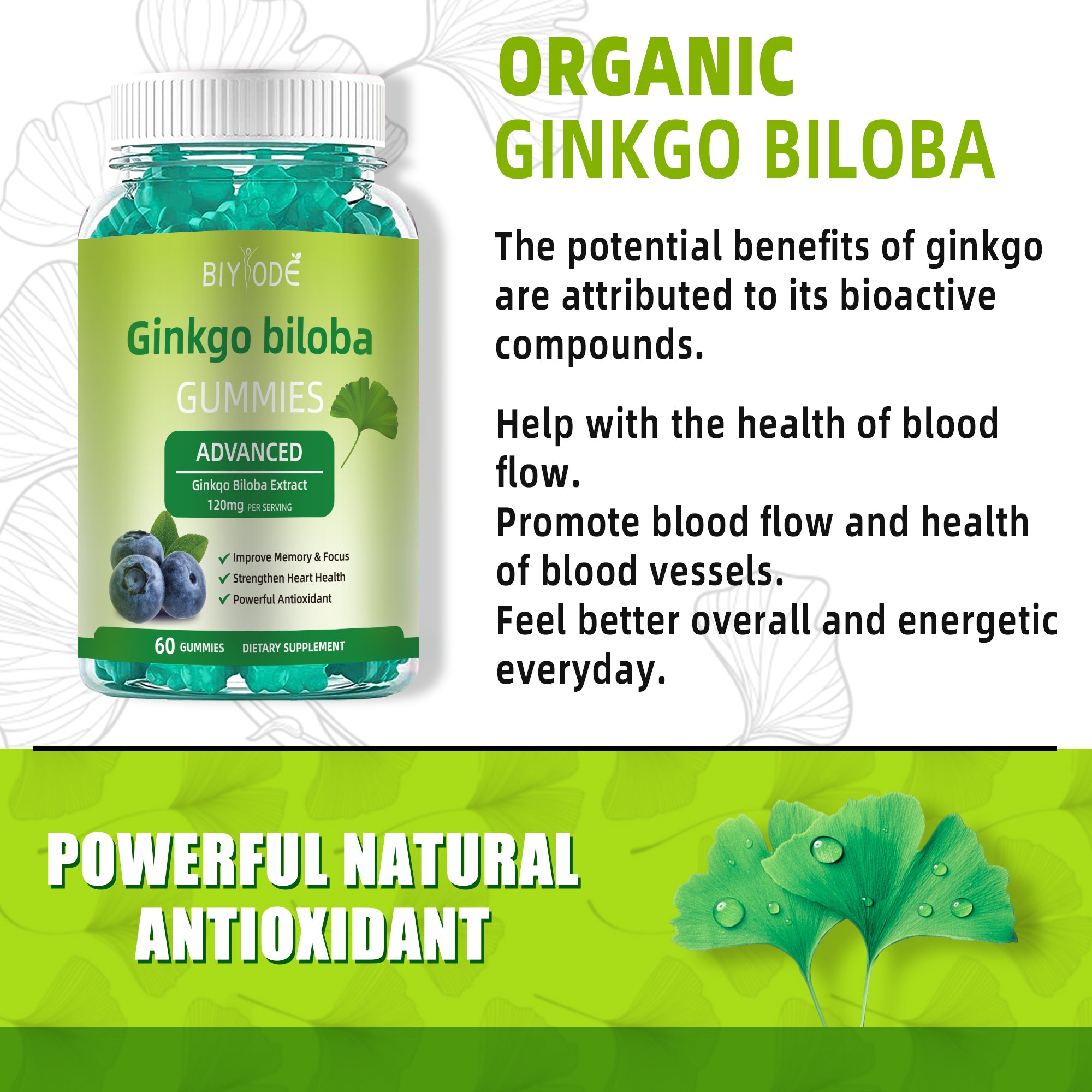 Ginkgo-Biloba Gummies Support Adult Memory & Focus